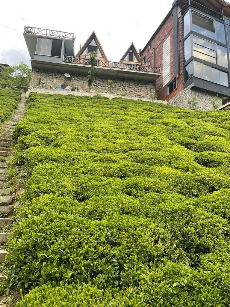Purkinora Bungalov Çamlıhemşin Exterior foto